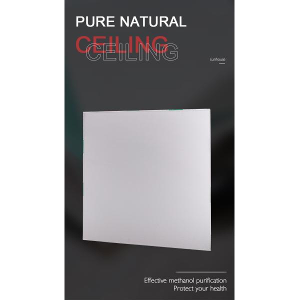 Modern Style PVC Gypsum Ceiling Tiles Rectangle Shape Square Edge