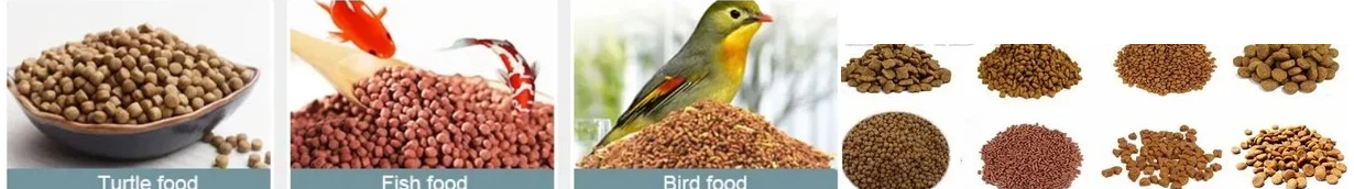 fish feed pellet making machine designed for pellet making in small medium feed mills research centers and professional aquaculture farms