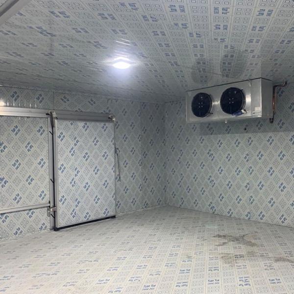 Walk In Freezer Cold Room Refrigeration System With Cooling System