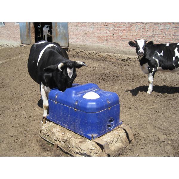 LLDPE Livestock Water Trough