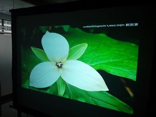 Buy Fabric / Flexible Projection Screens Rear Grey Custom Size 50m Length at wholesale prices