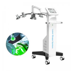 China Laser Beauty Body Slimming Machine Non Invasive 6D Fat Removal 532nm on sale