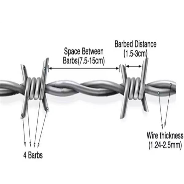 Electro Galvanized Barbed Wire Double Strand Silver Color Free Sample