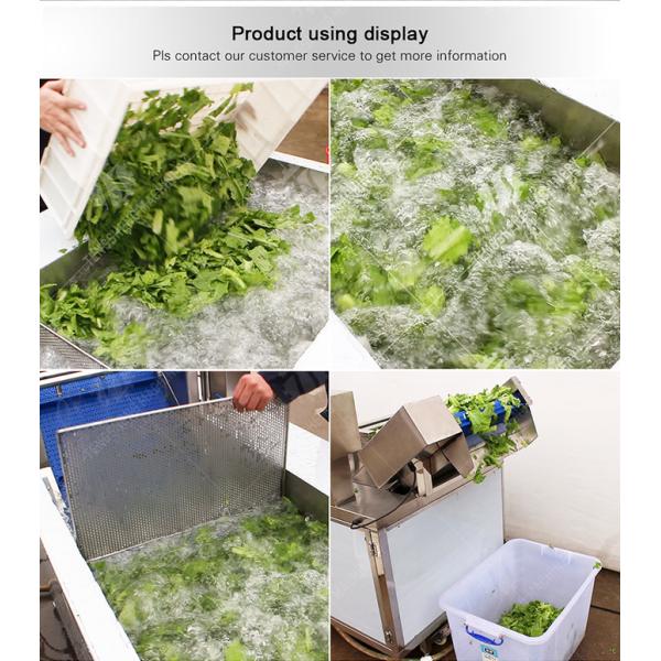 Vegetables bubble washing machine Wash Washer Washing Cleaning processing production Fruit Orange Vegetable Leaves Vegetables Herbs