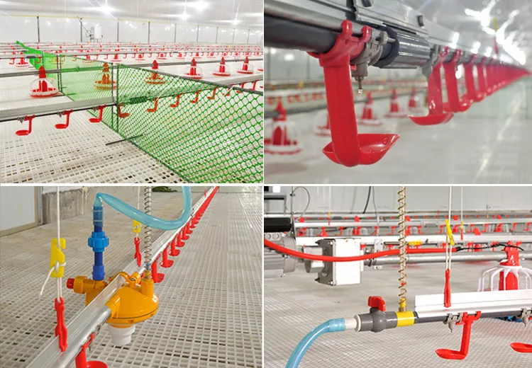 Full Automatic Hot-dip Galvanized Poultry Farm Feeding Equipment Customizable for Broiler Chicken Houses