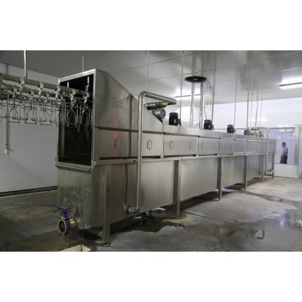 High Efficiency Halal Chicken Slaughtering Equipment Turnkey Poultry Processing Line for 1000 Birds Per Hour