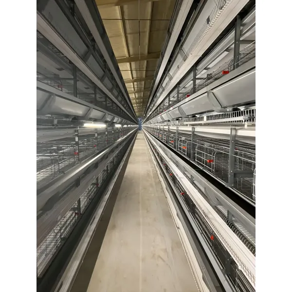 Automatic H Type Battery Layer Chicken Cage System with Fully Automatic Operation, Hot-Dip Galvanized Steel, and H-Type Layered Design for Poultry