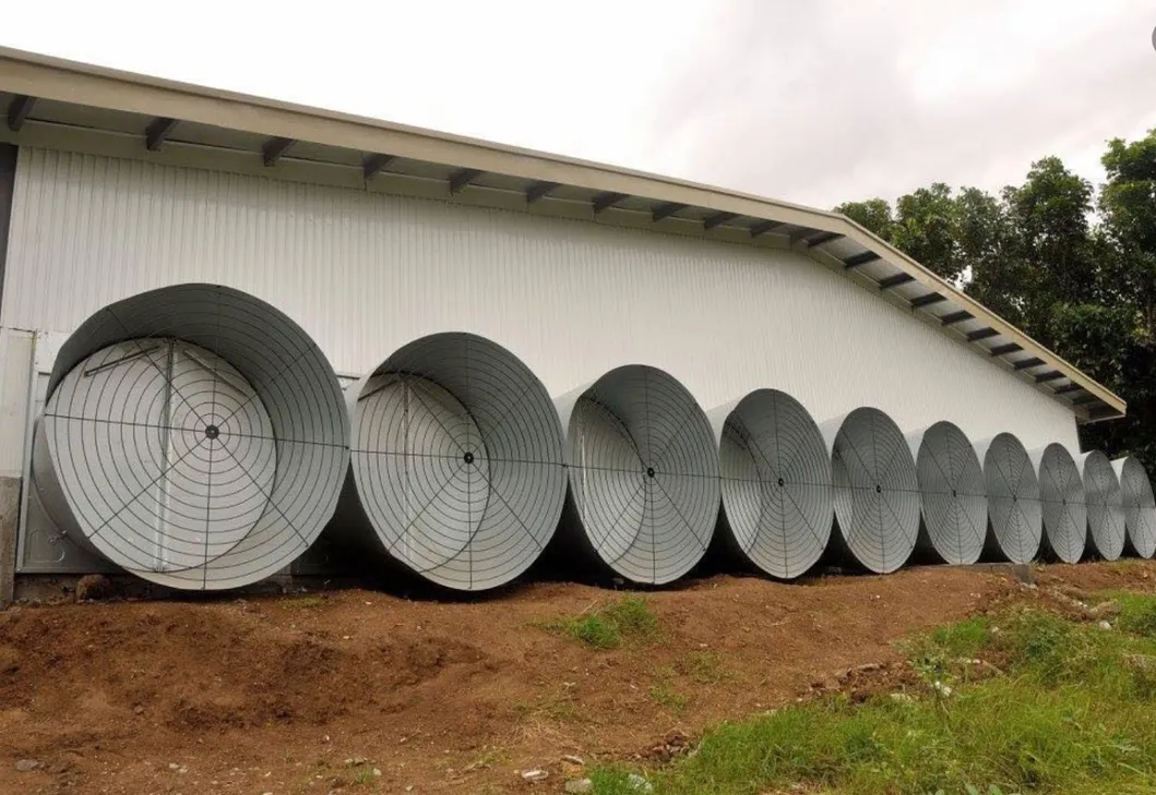 Electric Chicken House Ventilation Fan Variable Frequency Control For Airflow