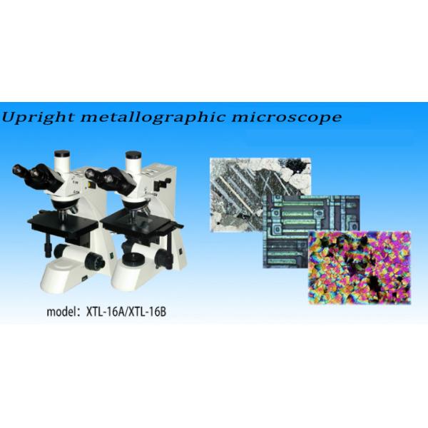 XTL-16 Series Reflection Metallographic Microscope Equipped With WF10X Large Eyepiece