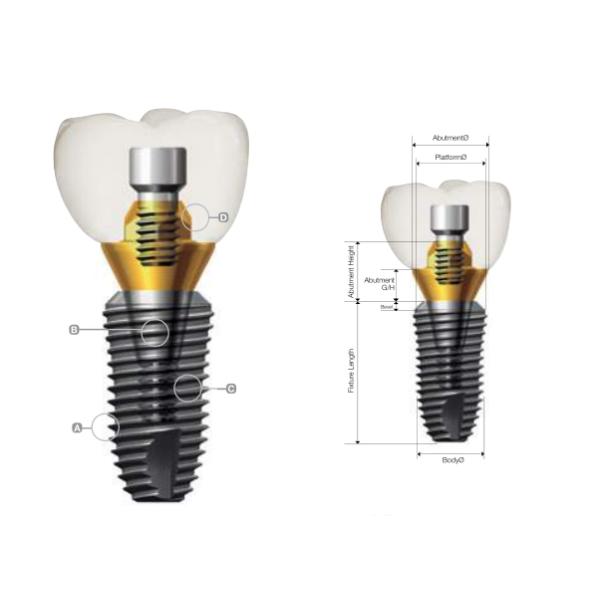 Dentium Superline® Implant Internal Titanium Premill Blank Abutment 10mm Engaging