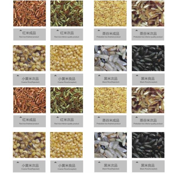 High Accuracy Coffee Cherry Color Sorter Coffee Color Sorting Machine Coffee Cherry Processing