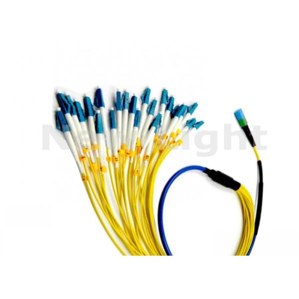 24 Core MPO-LC Cross Connected Single Mode Fiber Optic Patch Cord with Length Optional