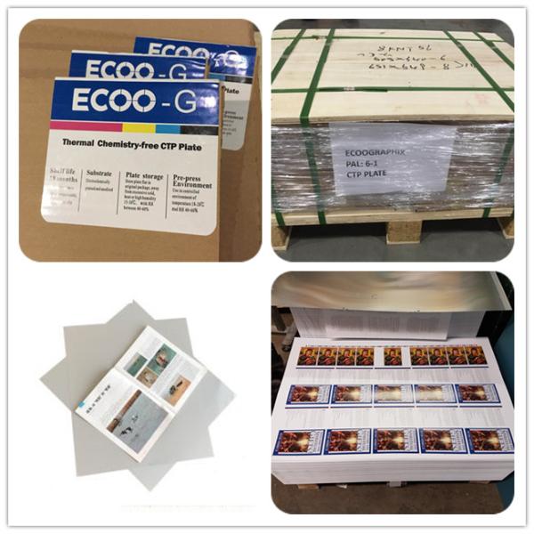 ECOO-G Plate production and packaging process