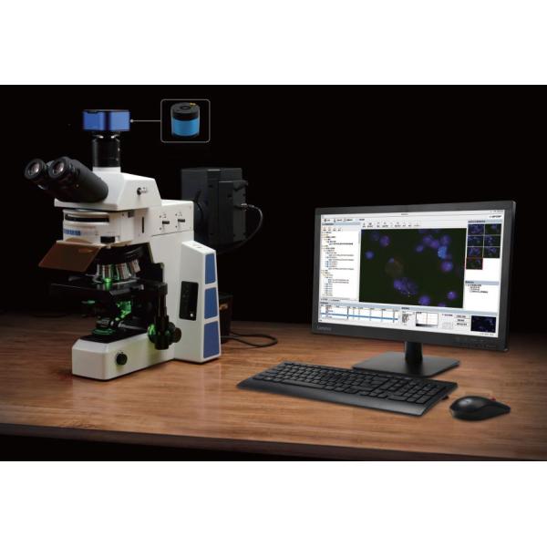 Trinocular Medical Lab Biological Microscope Para Celular 180 X 155mm White