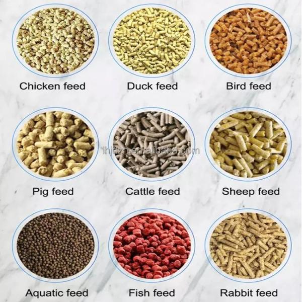 supply breeding feeds pellet maker machine Wet and dry use processing Feed Pellet Machine