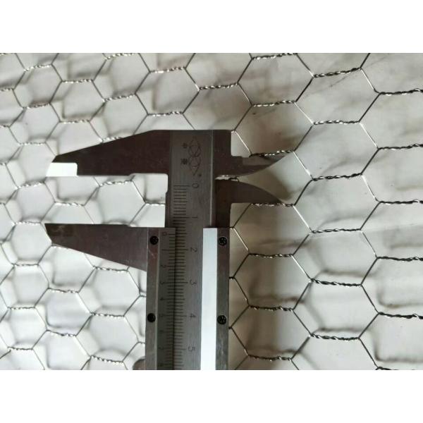 0.7mm Galvanized Hexagonal Chicken Wire Mesh Woven Wire Mesh 50m