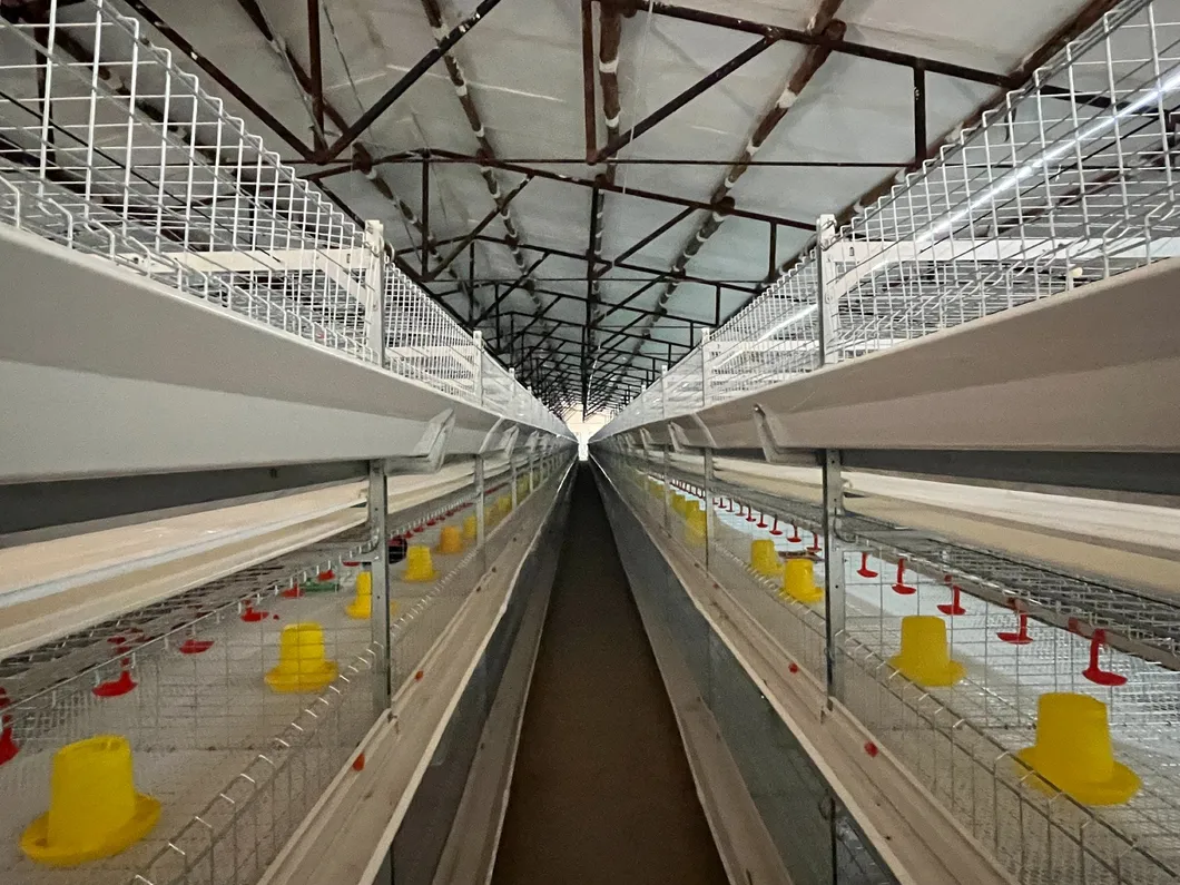 Cellulose Structure Evaporative Cooling Pad System For Poultry House Hydration Solutions
