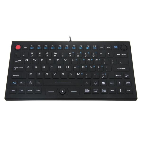 Compact Antivirus Medical Keyboard With 12 Function Keys And FSR Mouse