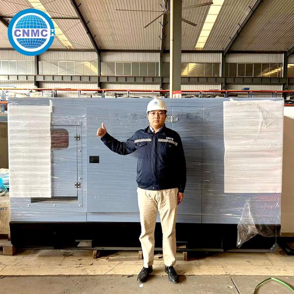 50Hz 60Hz CUMMINS Diesel Generator Multi Function Electric Manual