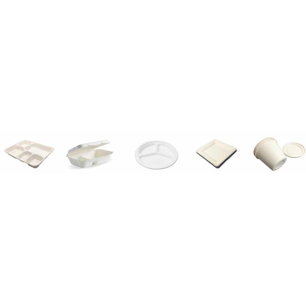 Disposable Sugarcane 900*600mm Paper Plate Making Machine