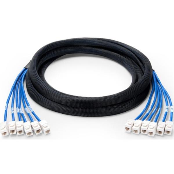 Cat 5e UTP Jack to Jack Trunk Cables