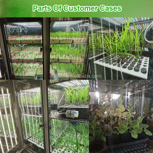 LIYI Price of 2-Side 3-Side Environmental Artificial Climate Testing Illumination Plant Growth Incubator Chamber for Sale