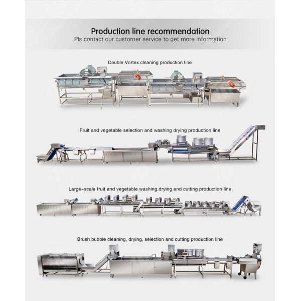 1.1KW Commercial eddy current bubble washing machine ozone multifunctional vegetable washing machine