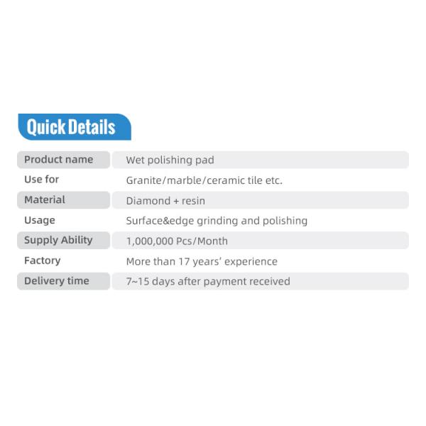 OBM Supported 5inch Diamond Polishing Disc for Stone Slabs Cutting Type For Polishing