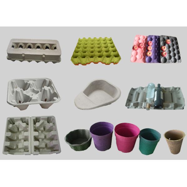 CE Hot Air Dry Automatic Paper Pulp Egg Carton Machine with 1 Layer Dryer
