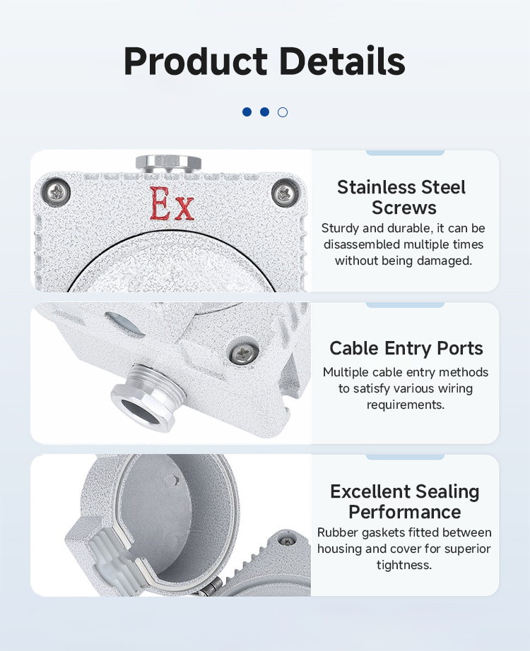 Explosion Proof Wall Socket IP66 Aluminum Alloy Industrial Flameproof Socket 10A 16A 3/5 Holes AC220V