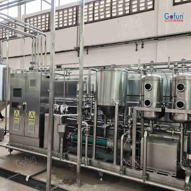 Turnkey Mango Pulp Puree Paste Processing Line