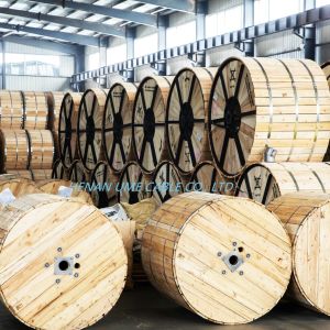 Overhead Range of Application Accepted PVC Copper Braid Shielded Electrical