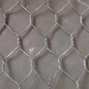 China 1/2 inch 1m Chicken Wire Mesh Roll Hot Dipped Galvanized Hexagonal Wire Mesh Fencing on sale
