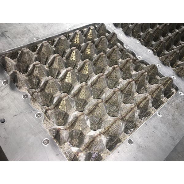 Large Capacity Pulp Tray Machine / Paper Molding Machine Energy - Efficient