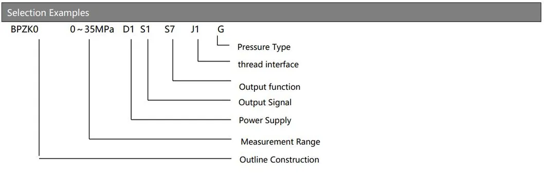IP65 High Accuracy Digital Pressure Switch 24V Liquid Pressure Controller