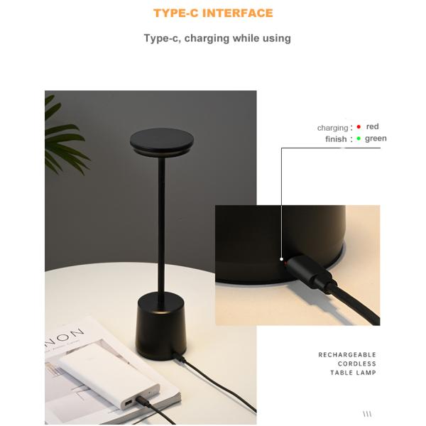 Bedside Cordless Rechargeable Metal Touch Table Lamp 188lm