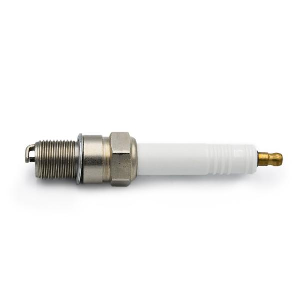 Engine Spare Part Replacement For CHAMPION RB77CC