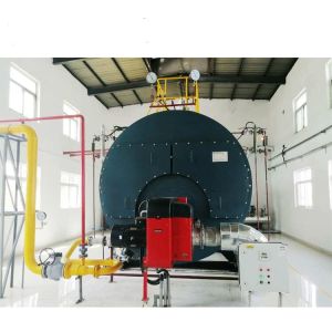 China Boiler Manufacturers 10 Ton Steam Boiler for Yarn Dyeing Machine