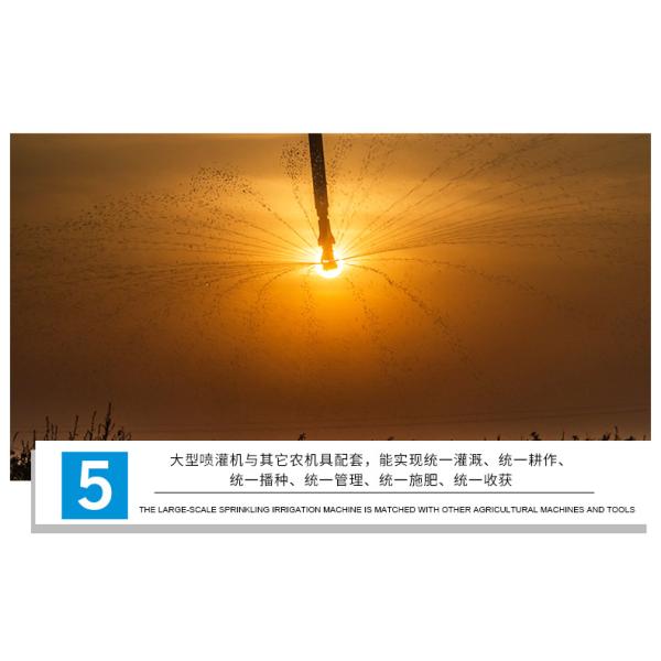 160 Inch Diameter Center Pivot and Lateral Linear Move Irrigation System for Improved Farming Efficiency in Agriculture