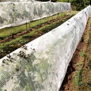 Quality agricultural product fruit fly nets /vegetables anti fly net for sale