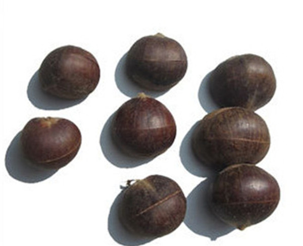 Chestnut opening machine,chestnut opener,chestnut cutting machine