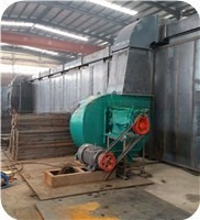 Installation Guidance Provided Continuous Mesh Belt Drying Equipment for Briquettes