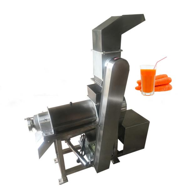 Fruit Apple Watermelon Mango Pineapple Juicer Extractor Machine Stainless Steel