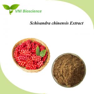 China Natural Schisandra Chinensis Extract Powder 1% Schisandrin Halal Certified on sale