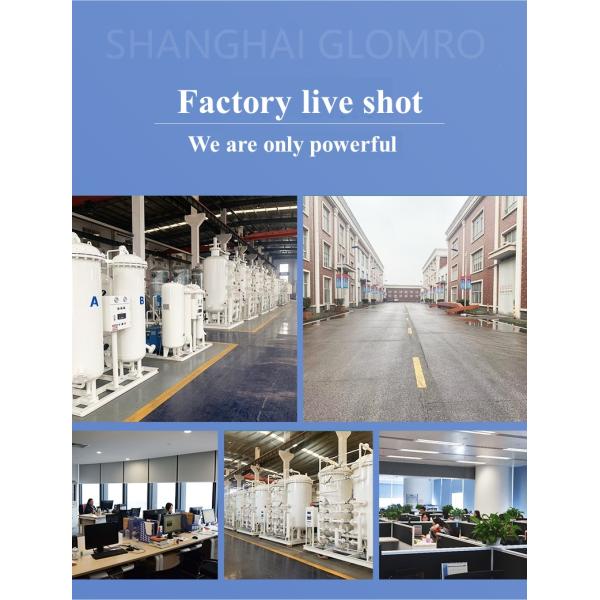 PSA Automatic Gas Making Machine Pressure Swing Adsorption Nitrogen Generator Plant