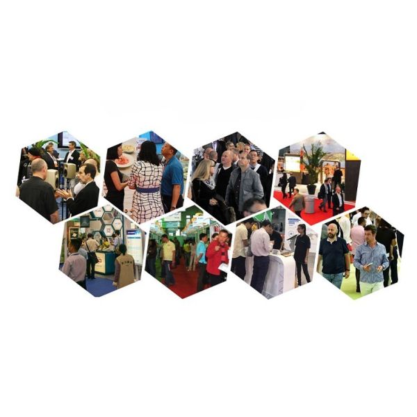 Wus721212BLE6l4 12tb Enterprise Grade Mechanical Hard Drive SATA 7200 Rpm 512MB Cmr 3.5 Inch