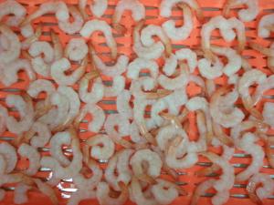 Quality IQF Frozen Skinless Vannamei White Shrimp / Fresh Frozen Shrimp For Restaurant for sale