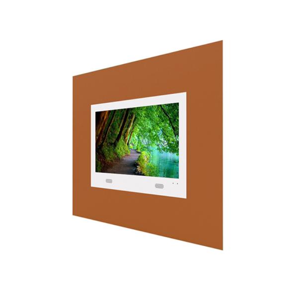 SECAM 65in Interactive LCD Digital Signage Wall Mountable 5ms