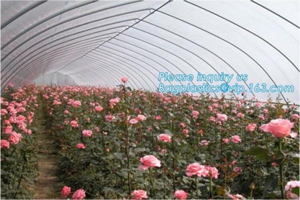 small garden green house,Multispan Tunnel Greenhouse for Tomato Agricultural Green houses,fabric steel wire agriculture