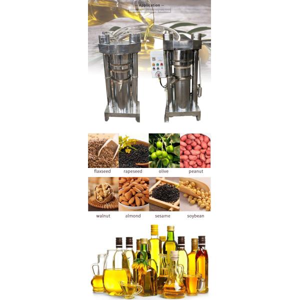 Function Oil Mill Making Pressing Extracting Machine for Hydraulic Cold Hot Pressing